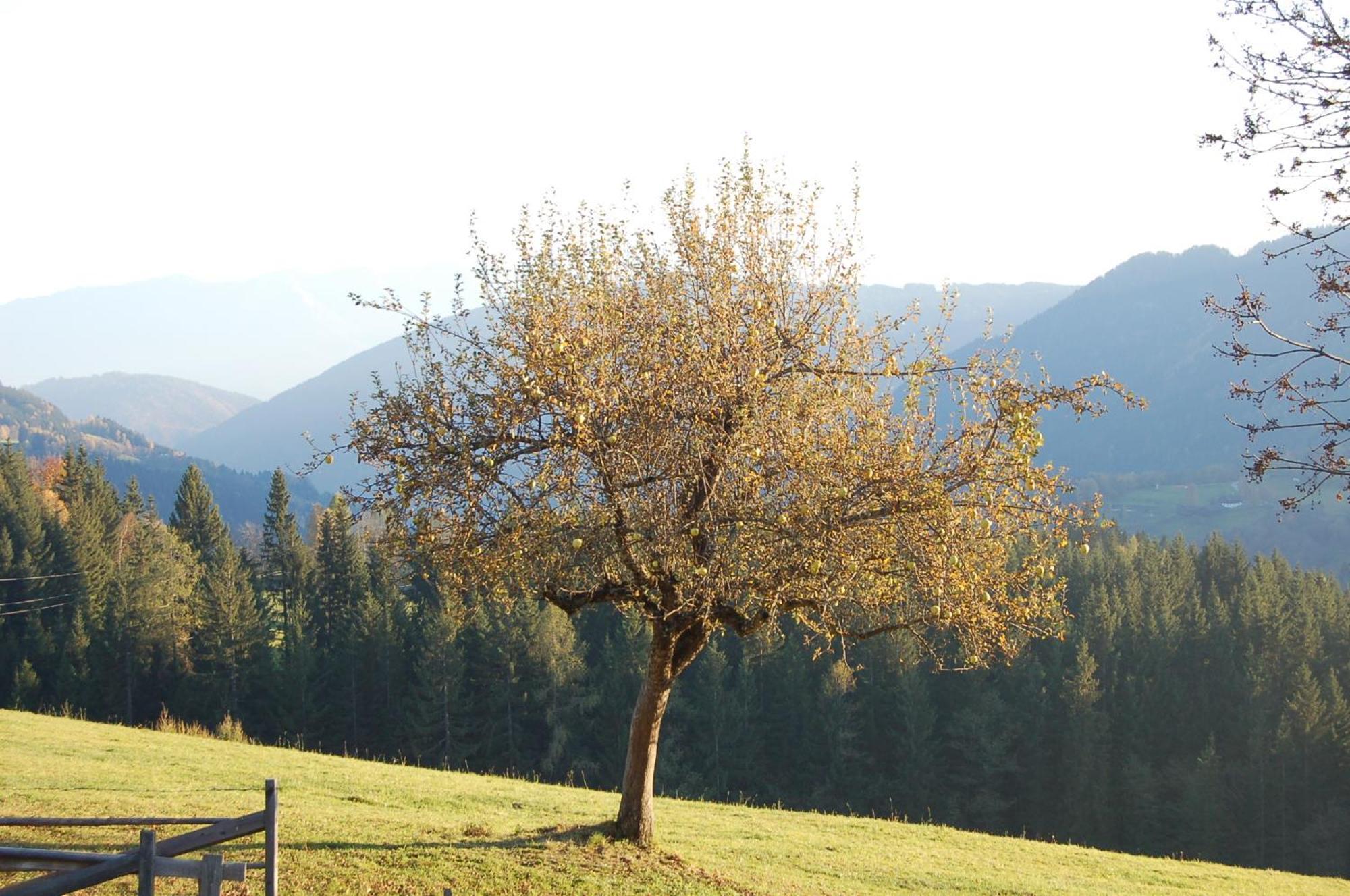 Walcherhof Arriach Zewnętrze zdjęcie